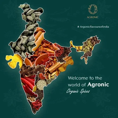 argonic spices1 e1709024341646 argonic spices1